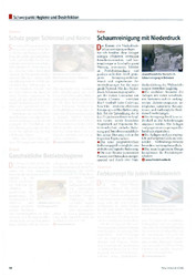2011-08_Fleischwirtschaft_Niederdruckschaumreinigung.pdf